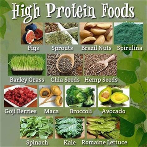 Plant-Strong Nutrition: Protein | Food Vancouver
