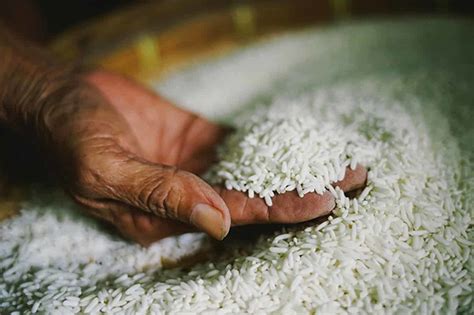 6000 Metric Tons Of Rice To Be Imported From Pakistan