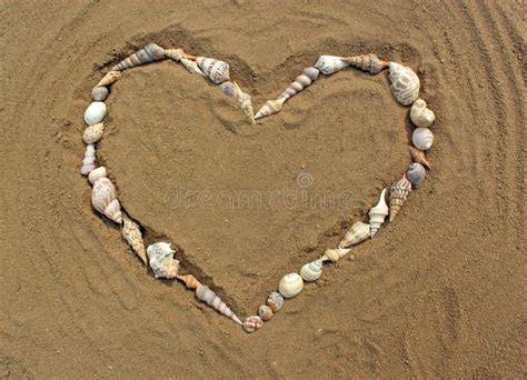 Heart Made Sea Shells Lying Beach Sand Stock Photos Free And Royalty
