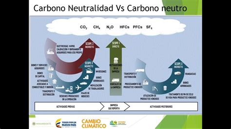 Latam Colombia Con Carbono Neutro En Operacin Domstica