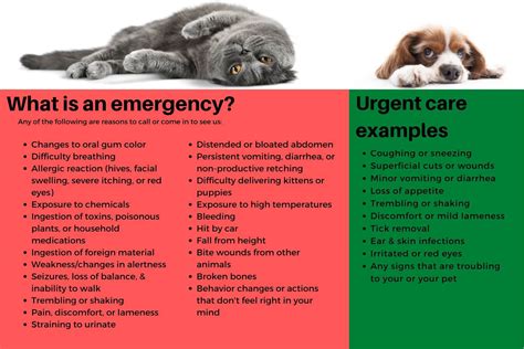 Triage Levels Standiford Veterinary Center