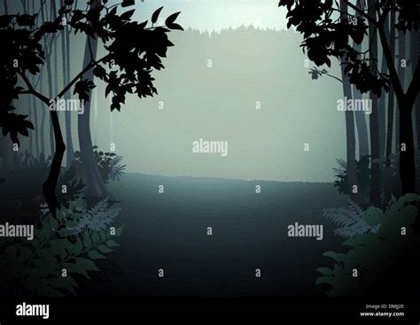 Dark Forest Vector Vectors Hi Res Stock Photography And Images Alamy