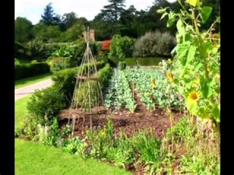 Pest control tips for your home garden. Home vegetable garden ideas - YouTube