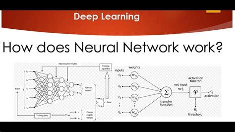 tutorial 2 how does neural network work youtube