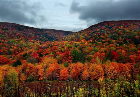 Nature Landscapes Trees Forest Autumn Fall Seasons Hills Colors