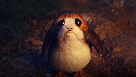 Have You Notice That The Porgs Are Nowhere To Be Seen In The Rise Of