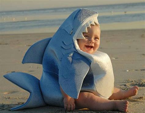 Pin By Paradise On Beach Quotes Shark Costumes Funny Baby Pictures