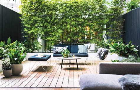 Bamboo plants are to give each area a zen character interesting, but the research and commitment are needed to select the right kind of bamboo for your garden. 20 Cozy Outdoor Patio Ideas For Warmer Months | Home ...
