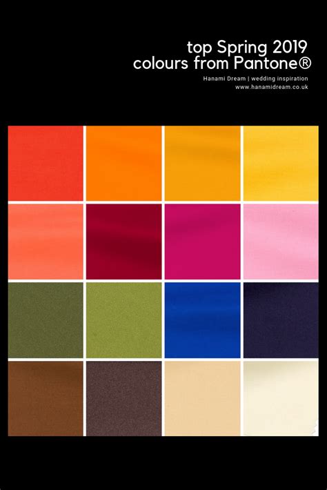 2019 Pantone Color Of The Year Paleta De Colores Wyvr Robtowner
