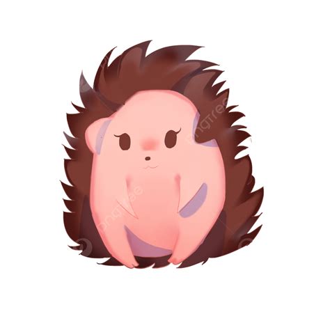 Hedgehog Clipart Transparent Png Hd Hedgehog Animal Cute Cartoon