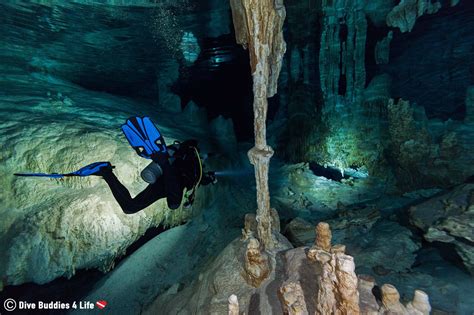 Joey Scuba Diving In Dos Ojos Cavern System Tulum Mexico