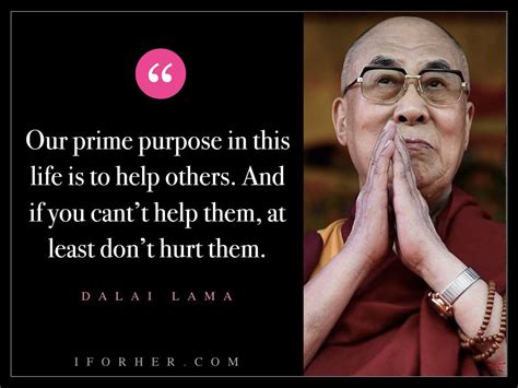 23 Dalai Lama Quotes To Bring Peace Into Your Life