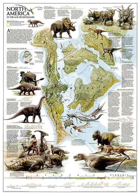 Dinosaurs Of North America Tubed By National Geographic Maps