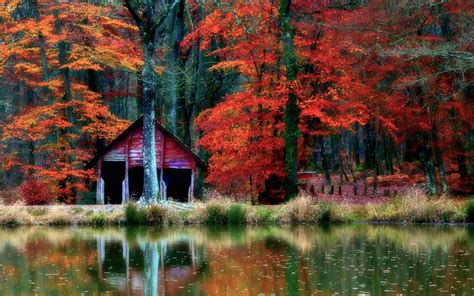 Nature Landscape Hut Forest Lake Fall Shrubs Leaves Wallpaper