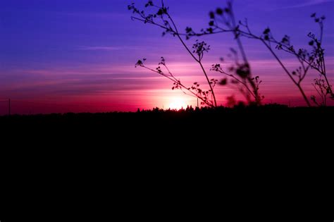 Purple Sunset Sky Free Photo On Pixabay