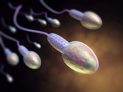 Health Benefits Of Sperm For Women Gist