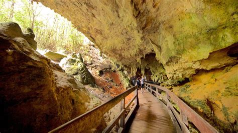 Mammoth Cave Boranup Western Australia Attraction Au