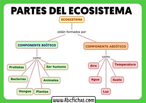 Pptx Componentes De Un Ecosistema En Los Ecosistemas Se Distinguen