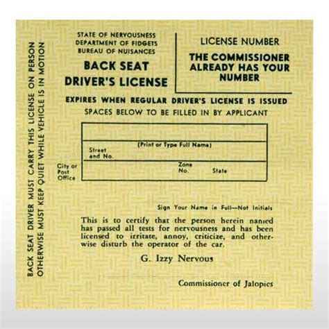 Back Seat Drivers License Pack Of 100 D Robbins And Co