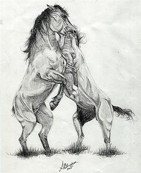 Mustang Stallions Wild Horses Drawing By Olde Time Mercantile