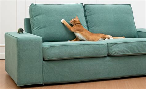 Claw Proof Sofa Covers For Pets Comfort Works