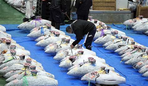 ตลาดปลาในโตเกียวสร้างสถิติใหม่ ปิดประมูล ปลาทูน่า หนัก 276 กก. ไปที่ ...