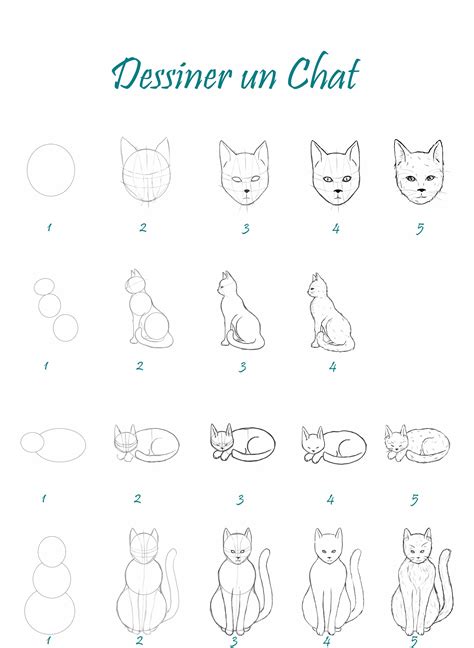 Comment Dessiner Un Chat Et Apprendre Facilement Comment Dessiner