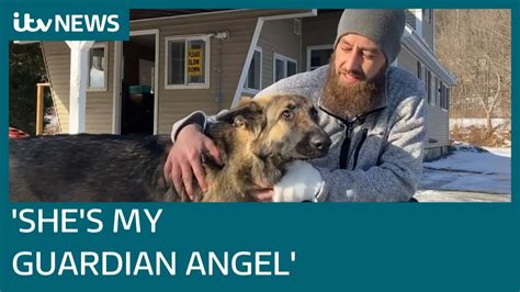 Real Life Lassie Helps Save Owner After Truck Crash Itv News Youtube