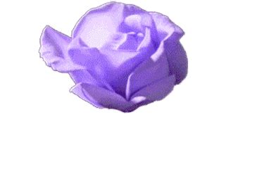 This page has large flower clipart images with perspective shadows in jpeg format plus transparent and animated flowers in gif format. GIF PEANUT BUTTER ~*~*~ — submitted by neglectedchildren