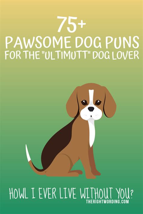 75 Pawsome Dog Puns For The Ultimutt Dog Lover Dog Puns Cute Dog