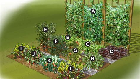Small Garden Layout Examples Garden Layout