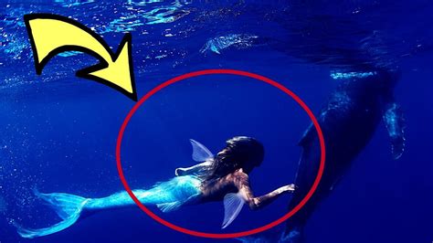 real mermaid caught on camera underwater in ocean by wonder discovery youtube