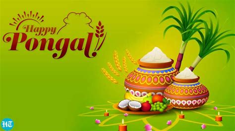 Pongal 2021 History Significance And Celebrations Of The Harvest