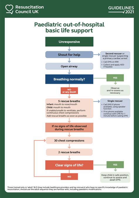 Paediatric Basic Life Support Guidelines Resuscitation Council Uk