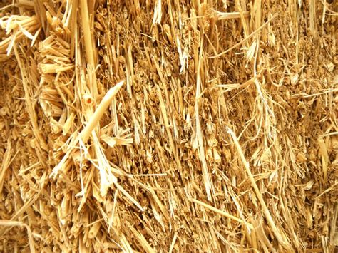 Closeup Of Dry Straw Stock Image Image Of Crop Backdrop 113412981