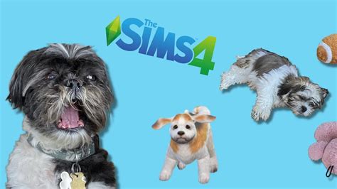 The Mayhem Of Making My Dogs In Sims 4 Cas Youtube