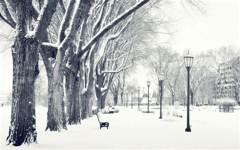 Photography Landscape Nature Winter Trees Snow Urban City Park Bench Wallpapers Hd