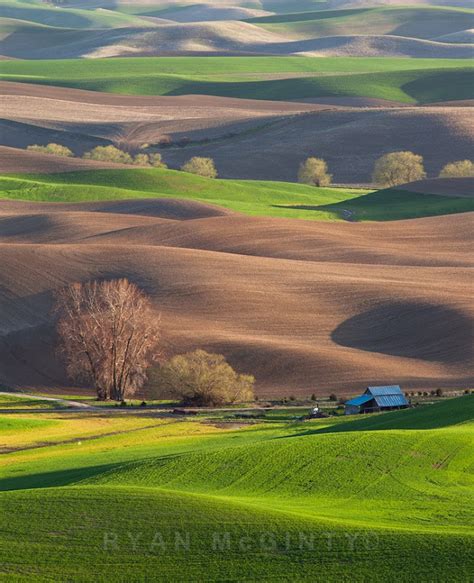 Colorful Rolling Grasslands Of Palouse Amusing Planet