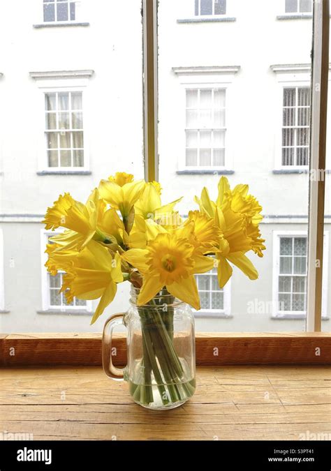 Daffodils In A Jar On An Oxford Windowsill Stock Photo Alamy
