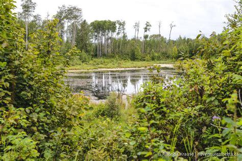 Cooking Lake Blackfoot Provincial Recreation Area Visitor Guide