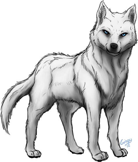 Wolf Drawing Png Gray Wolf Cartoon Drawing Png 500x500px Gray Wolf