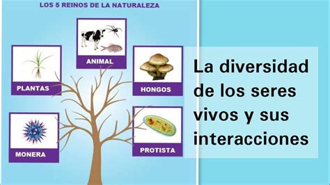 La Diversidad De Los Seres Vivos Y Sus Interacciones Ciencias