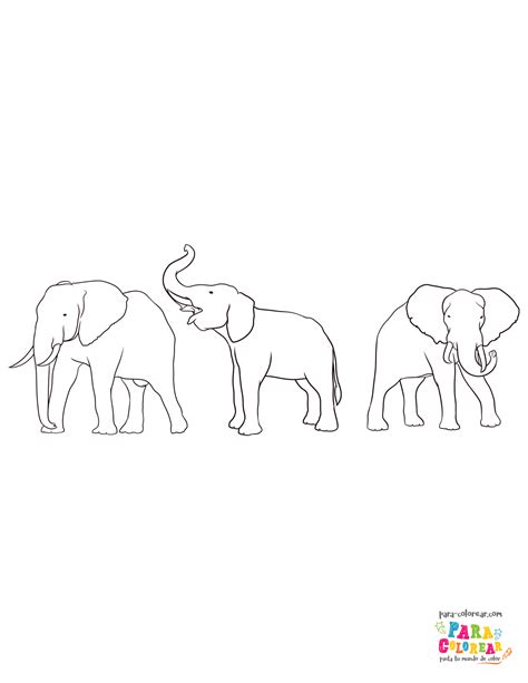 Top 153 Imagenes Para Dibujar De Elefantes Destinomexicomx