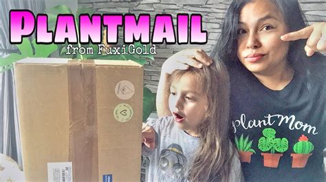 Plant Mail Unboxing From Fuxigold 🌿📦 Youtube