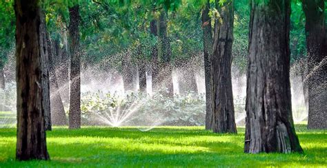 The Importance Of An Efficient Irrigation System