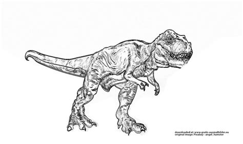 Bilder für schule und unterricht: Tyrannosaurus Rex - Gratis Ausmalbild