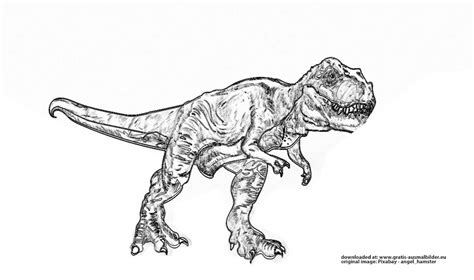 We did not find results for: Tyrannosaurus Rex - Gratis Ausmalbild