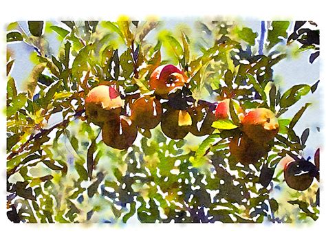 Generate jigsaw puzzles from your photos online. Turn Your iPhone Pics Into Watercolor Masterpieces With ...