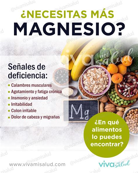 Alimentos Con Magnesio Beneficios Y Riesgos De No Consumir Magnesio
