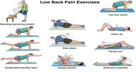 Some Best Exercises For Relieving Your Low Back Pain